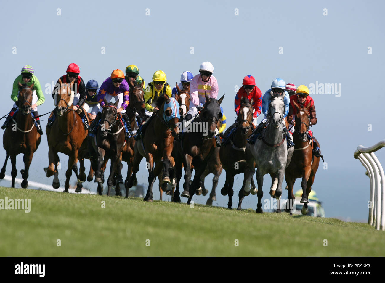Les jockeys et les chevaux en action lors d'une course de chevaux. Banque D'Images