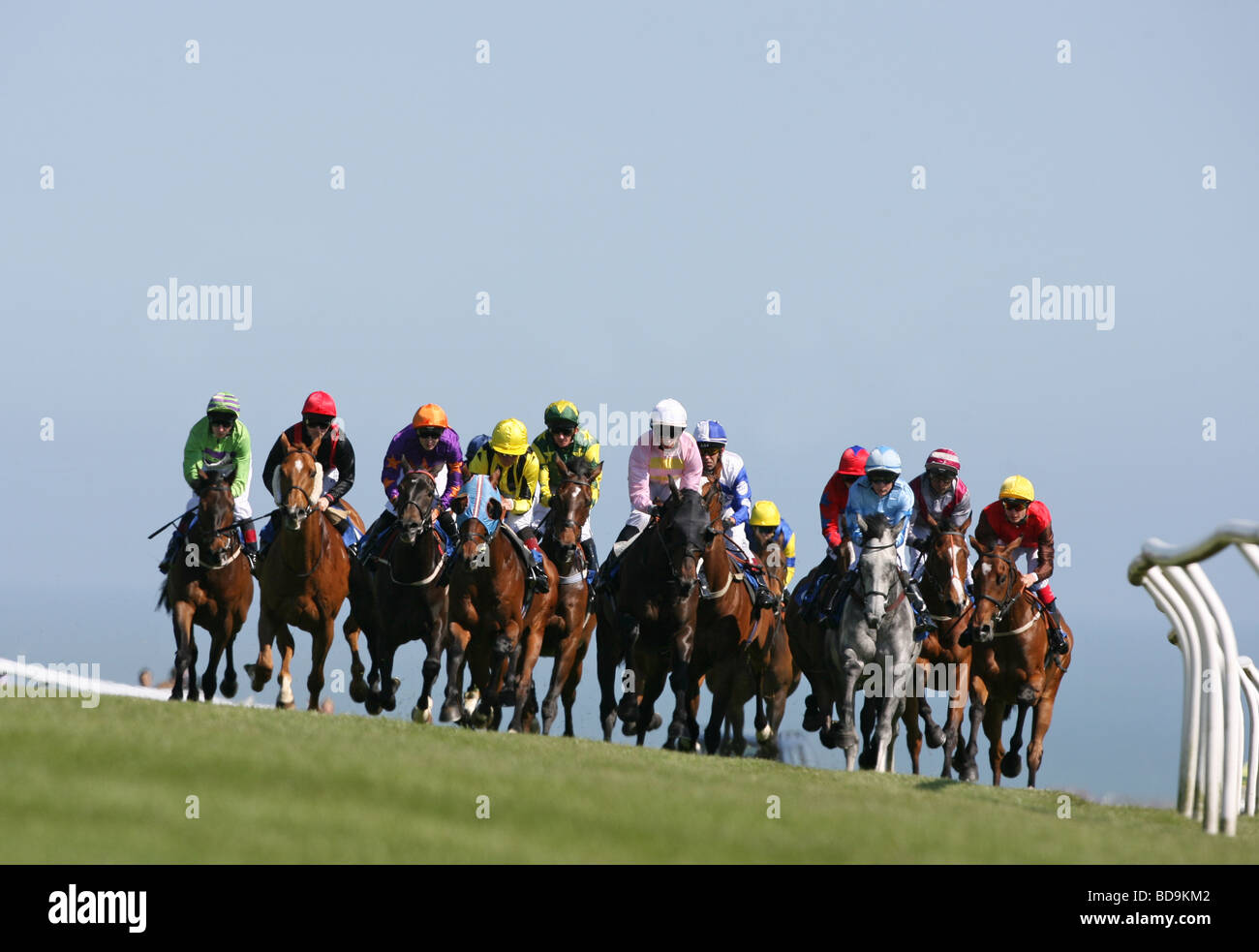 Les jockeys et les chevaux en action lors d'une course de chevaux. Banque D'Images