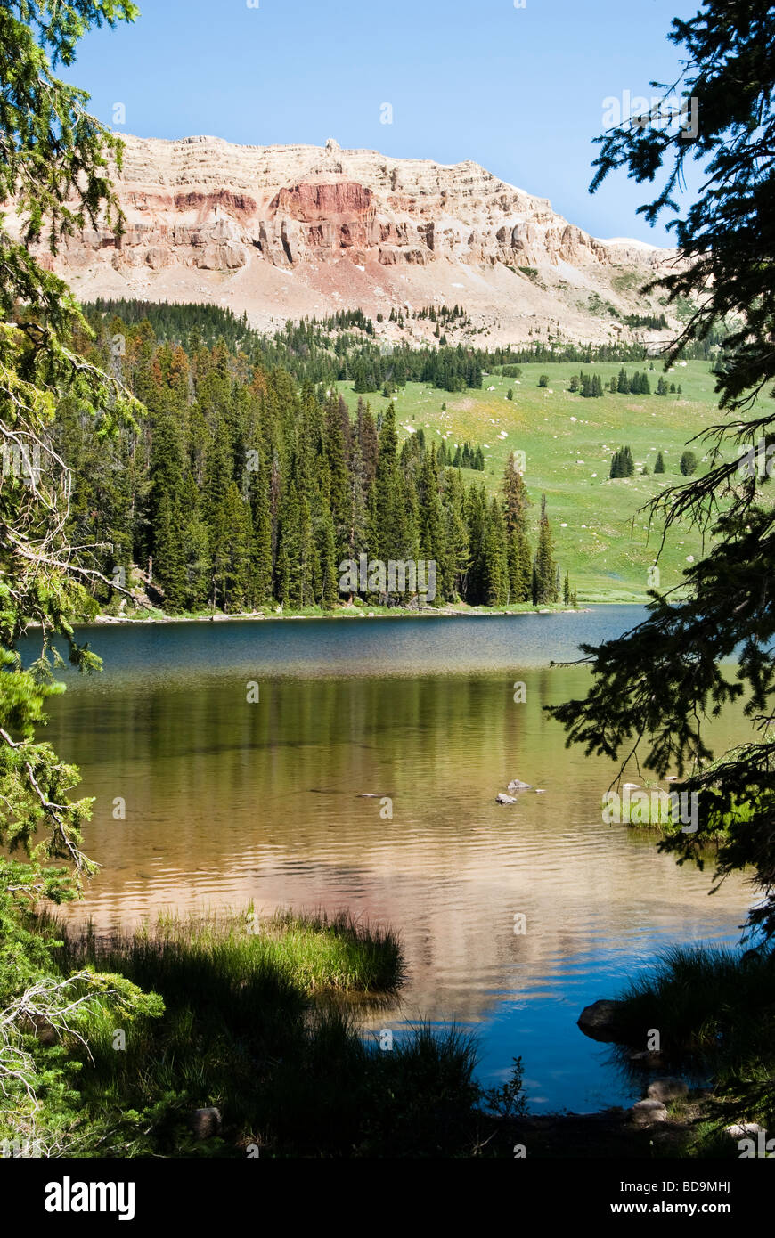 Le long du lac Beartooth Highway Beartooth dans Wyoming Banque D'Images