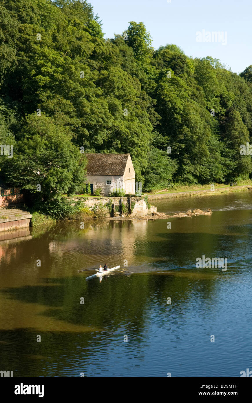 Les rameurs sur la rivière Wear Angleterre Durham Banque D'Images