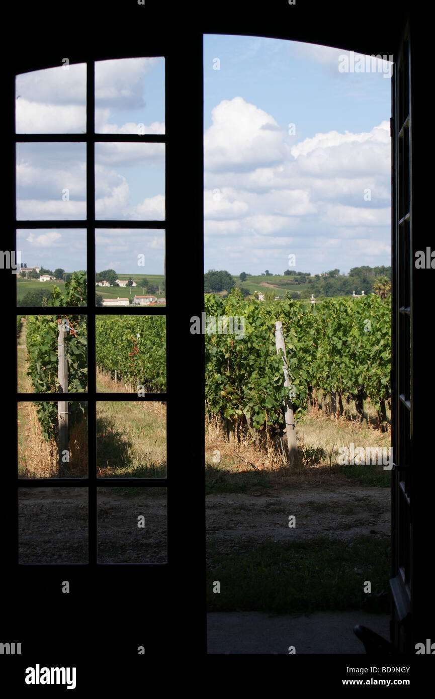 Vignes, Château Tayac, Saint Seurin-de-Bourg, près de Bordeaux, Gironde, France, Nouvelle-Aquitaine Banque D'Images