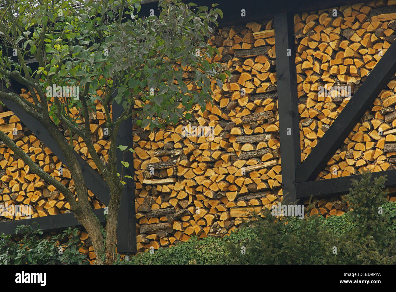 Holzstapel pile de bois 22 Banque D'Images