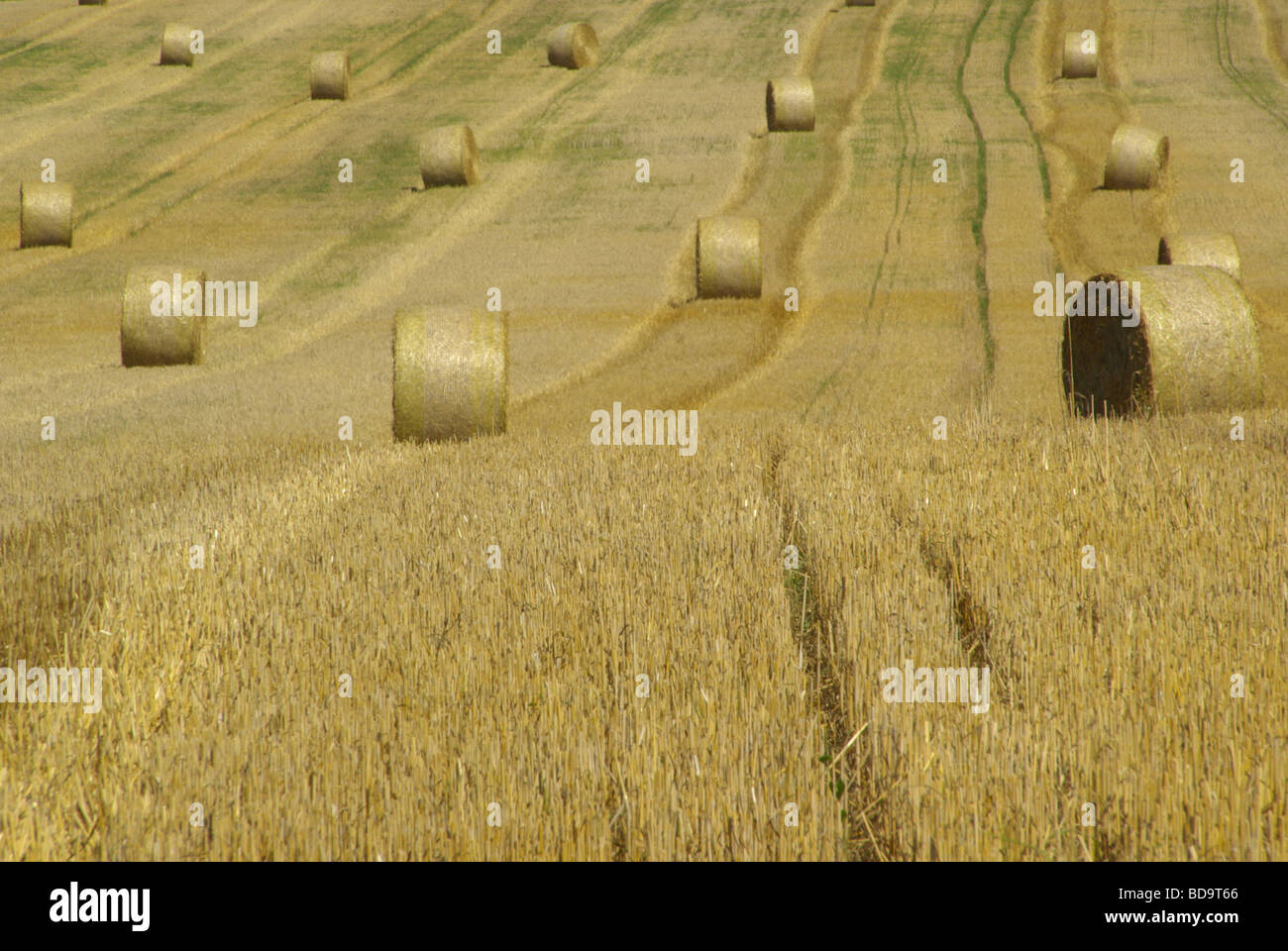 Botte de paille 20 Strohballen Banque D'Images