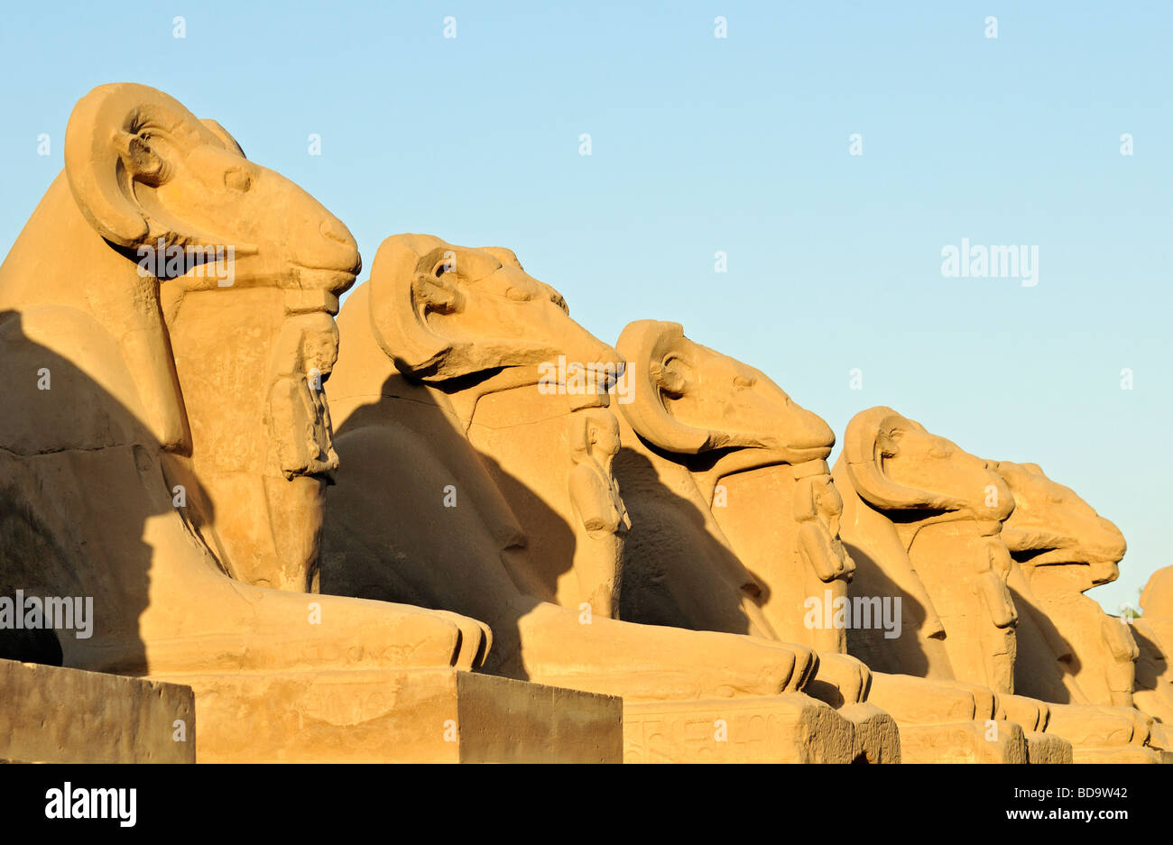 L'Avenue des sphinx à tête Ram Enceinte de Amun Re du Temple de Karnak Louxor Égypte près de complexes Banque D'Images