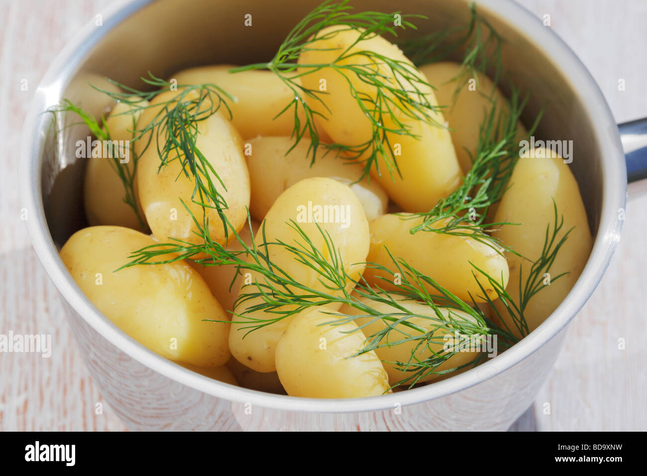 Pommes de terre nouvelles cuites avec de l'aneth dans un pot en acier Banque D'Images