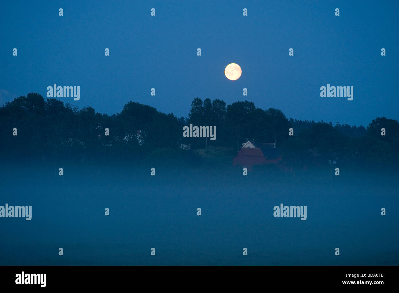 Pleine lune dans la nuit d'été suédois Banque D'Images