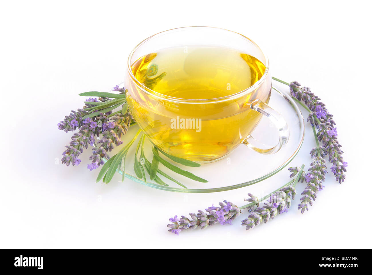 Tee Lavendel lavender tea 04 Banque D'Images