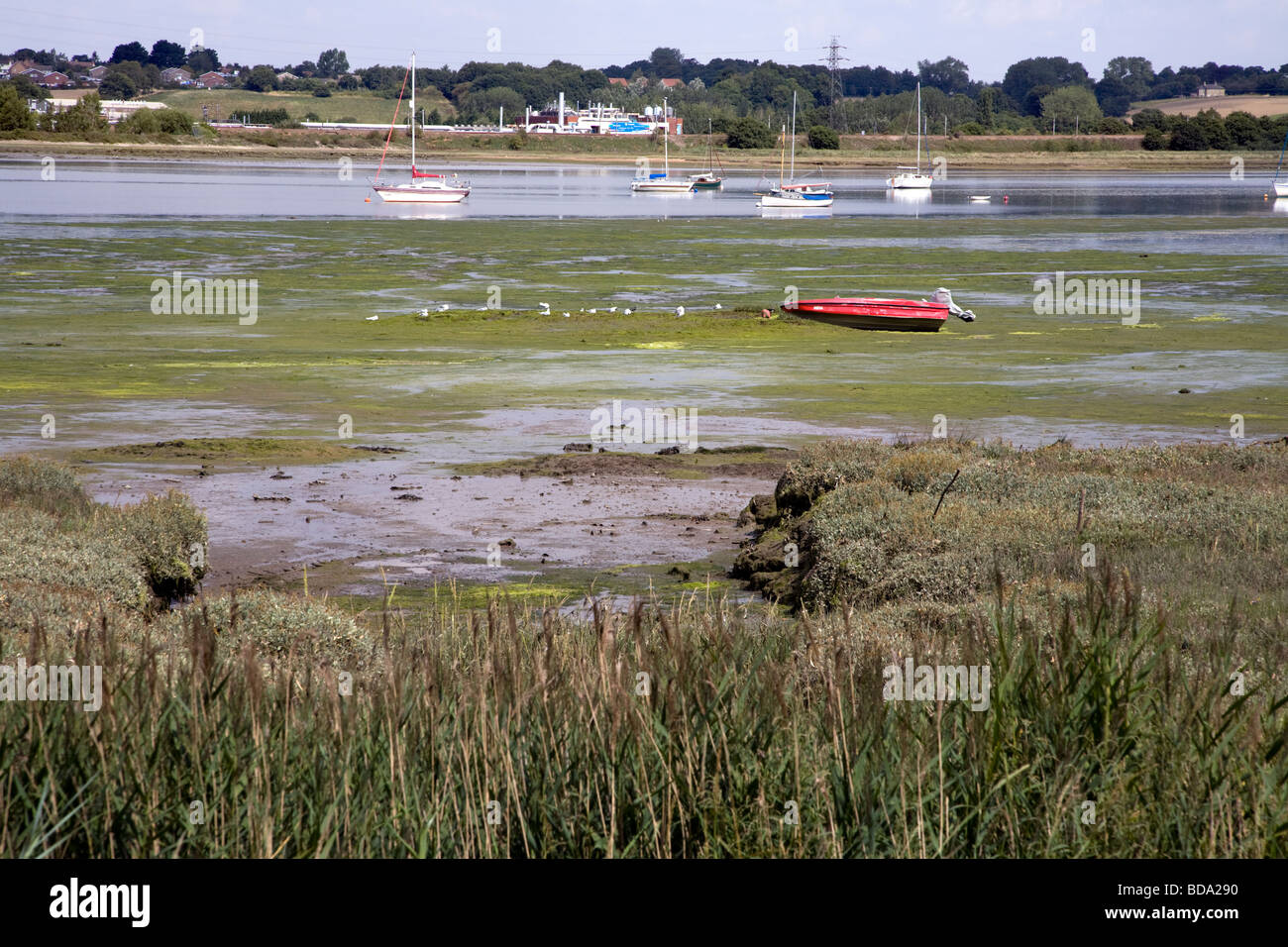La vue sur la rivière à Manningtree Angleterre s plus petite ville sur la rive sud de la rivière Stour, avec petits bateaux Banque D'Images