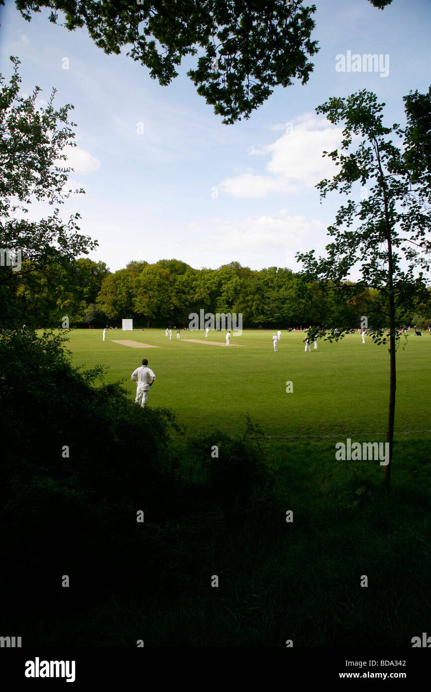 Jeu de cricket à Highgate Woods, Highgate, Londres, UK Banque D'Images