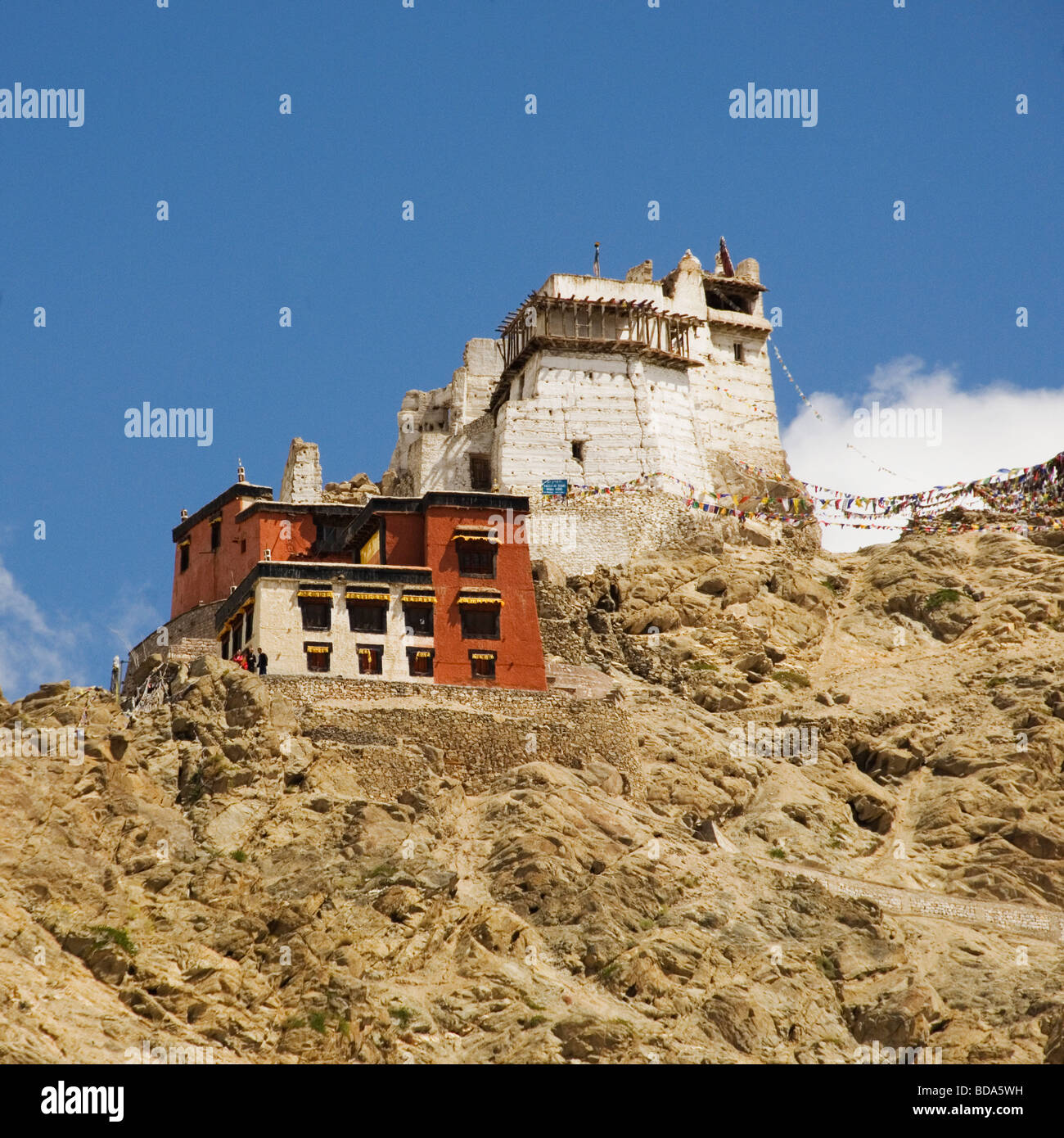 Fort et gompa sur une colline, la victoire Fort, Namgyal Tsemo Gompa, Leh, Ladakh, Inde Banque D'Images