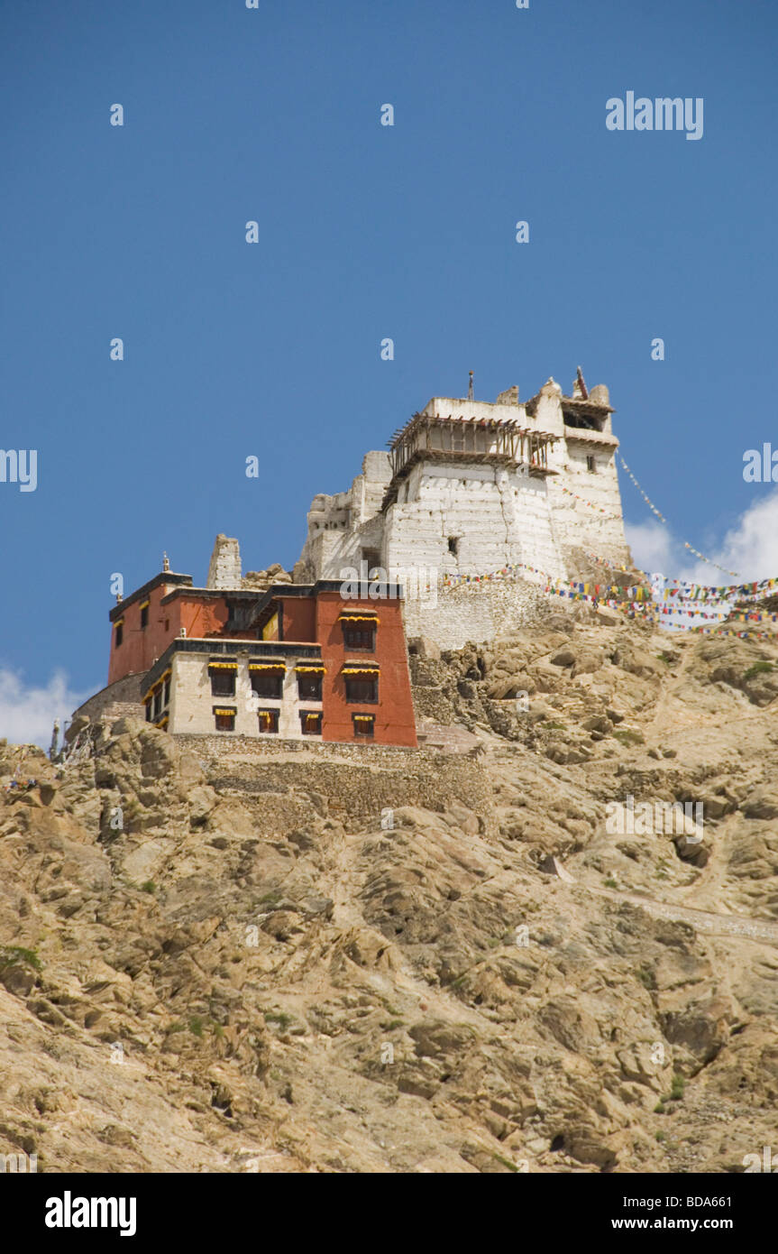 Fort et gompa sur une colline, la victoire Fort, Namgyal Tsemo Gompa, Leh, Ladakh, Inde Banque D'Images
