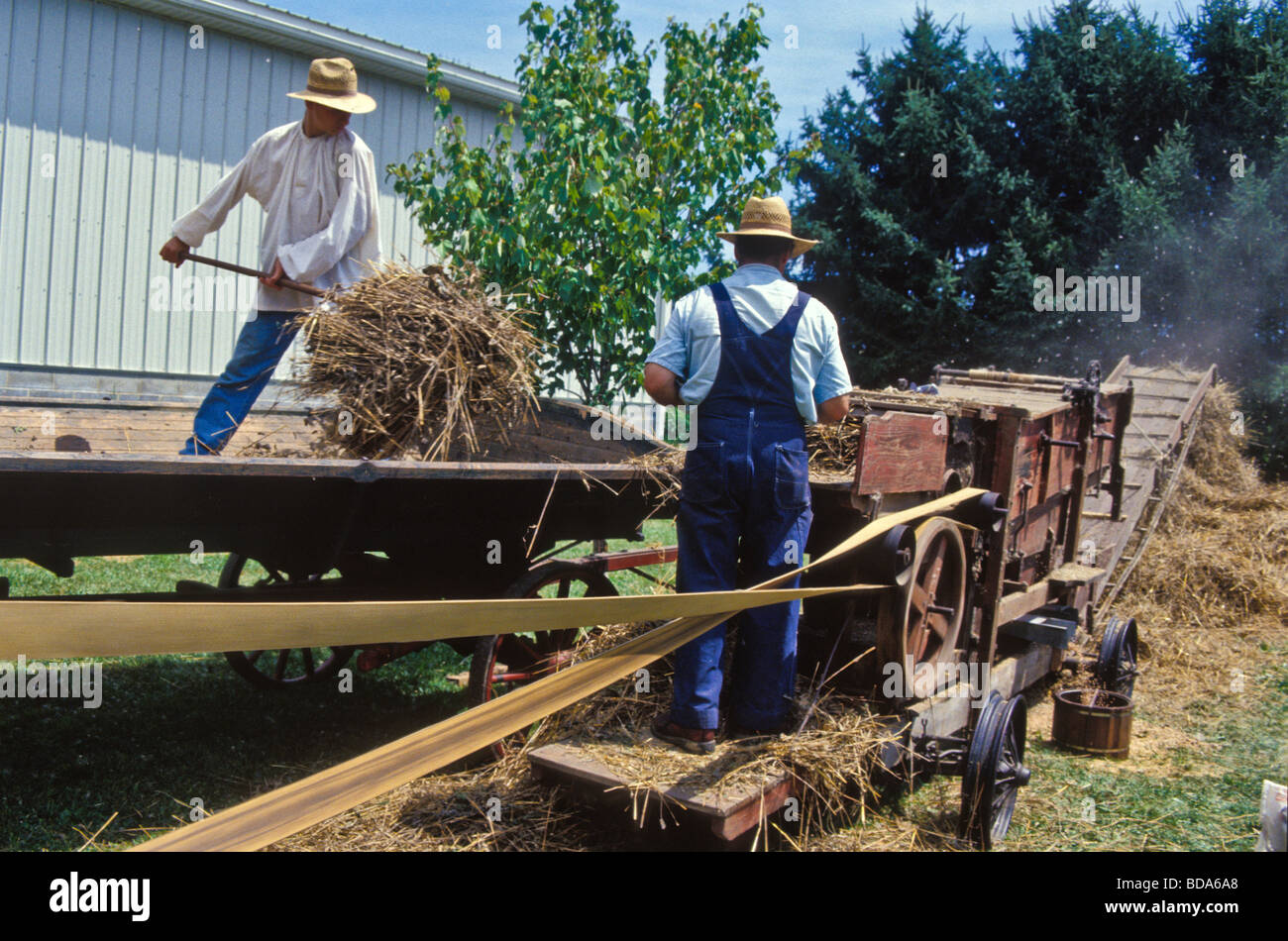 Hans Herr house batteuse blé récolte les opérateurs agricoles Banque D'Images