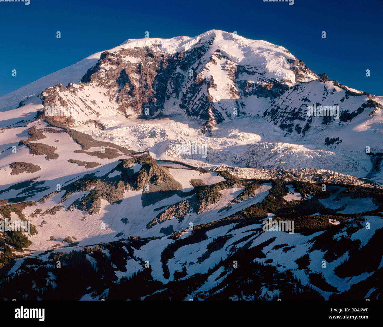 Parc national du mont Rainier à Washington