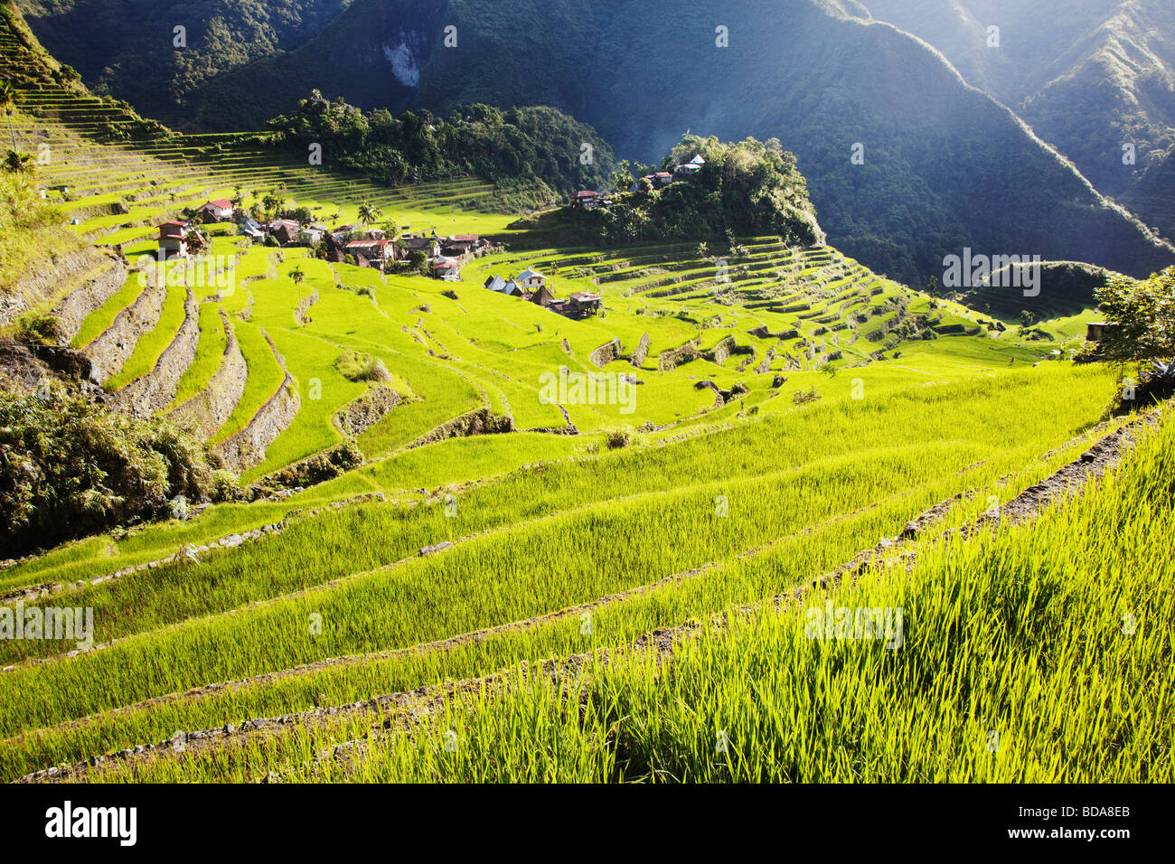 Terrasses de riz et de Batad village Province d'Ifugao le nord de Luzon aux Philippines Banque D'Images