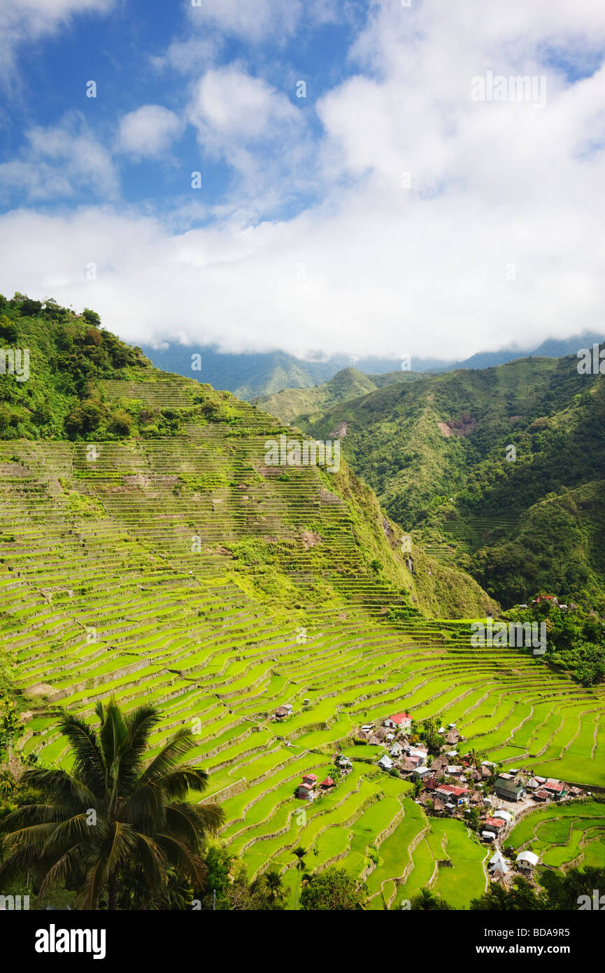 Terrasses de riz et de Batad village Province d'Ifugao le nord de Luzon aux Philippines Banque D'Images