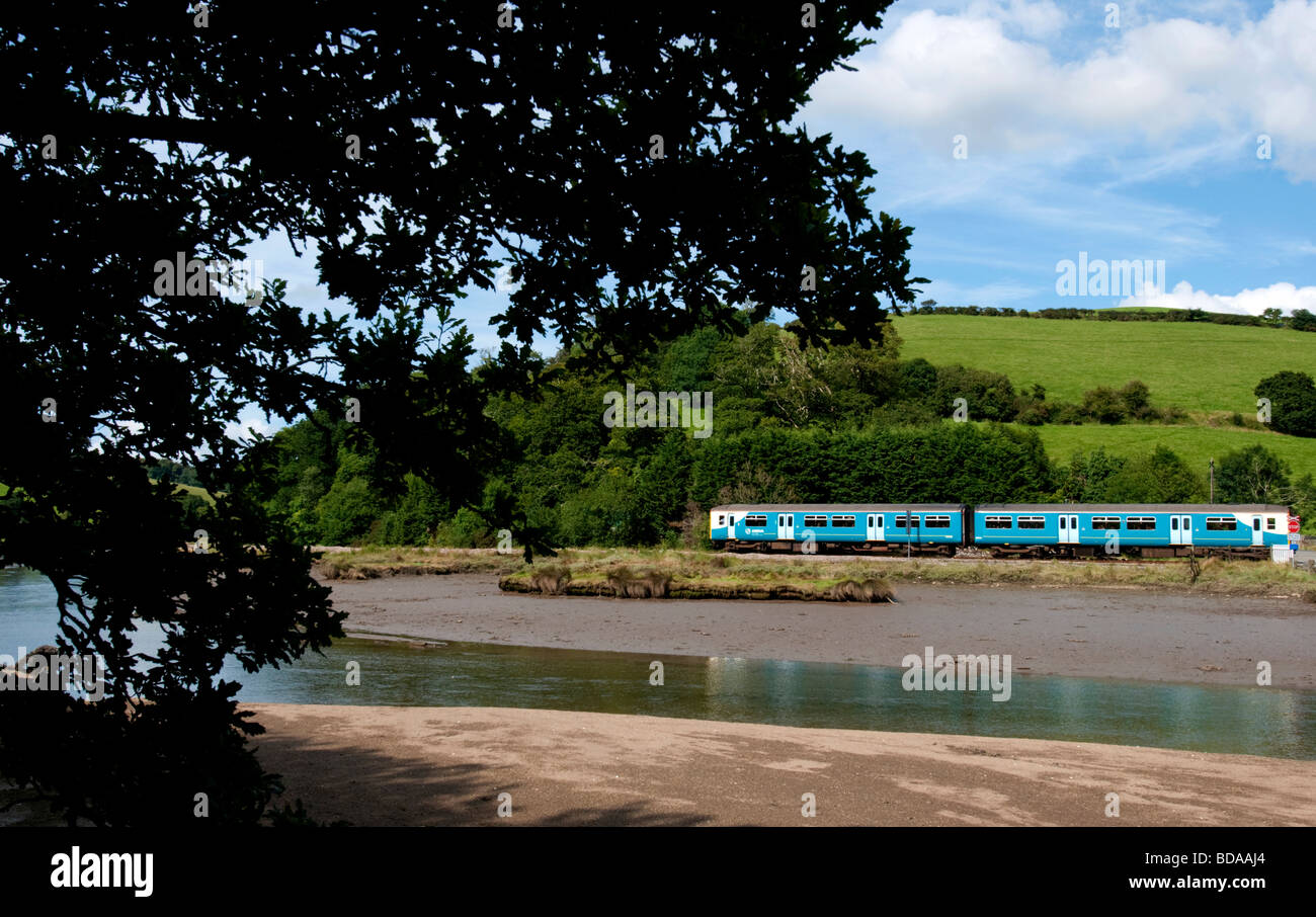 Un train voyage le long de la ligne de la vallée de Looe à Liskeard Cornwall south east Banque D'Images