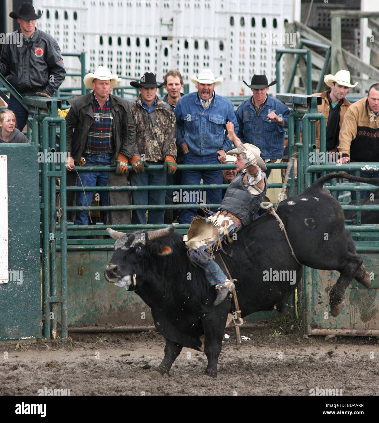 Bull rider accroché à Bull en colère à petite ville Rodeo Banque D'Images