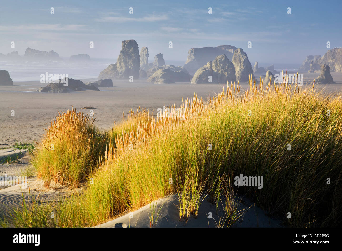 L'herbe des dunes et la mer à Bandon Beach Oregon piles Banque D'Images