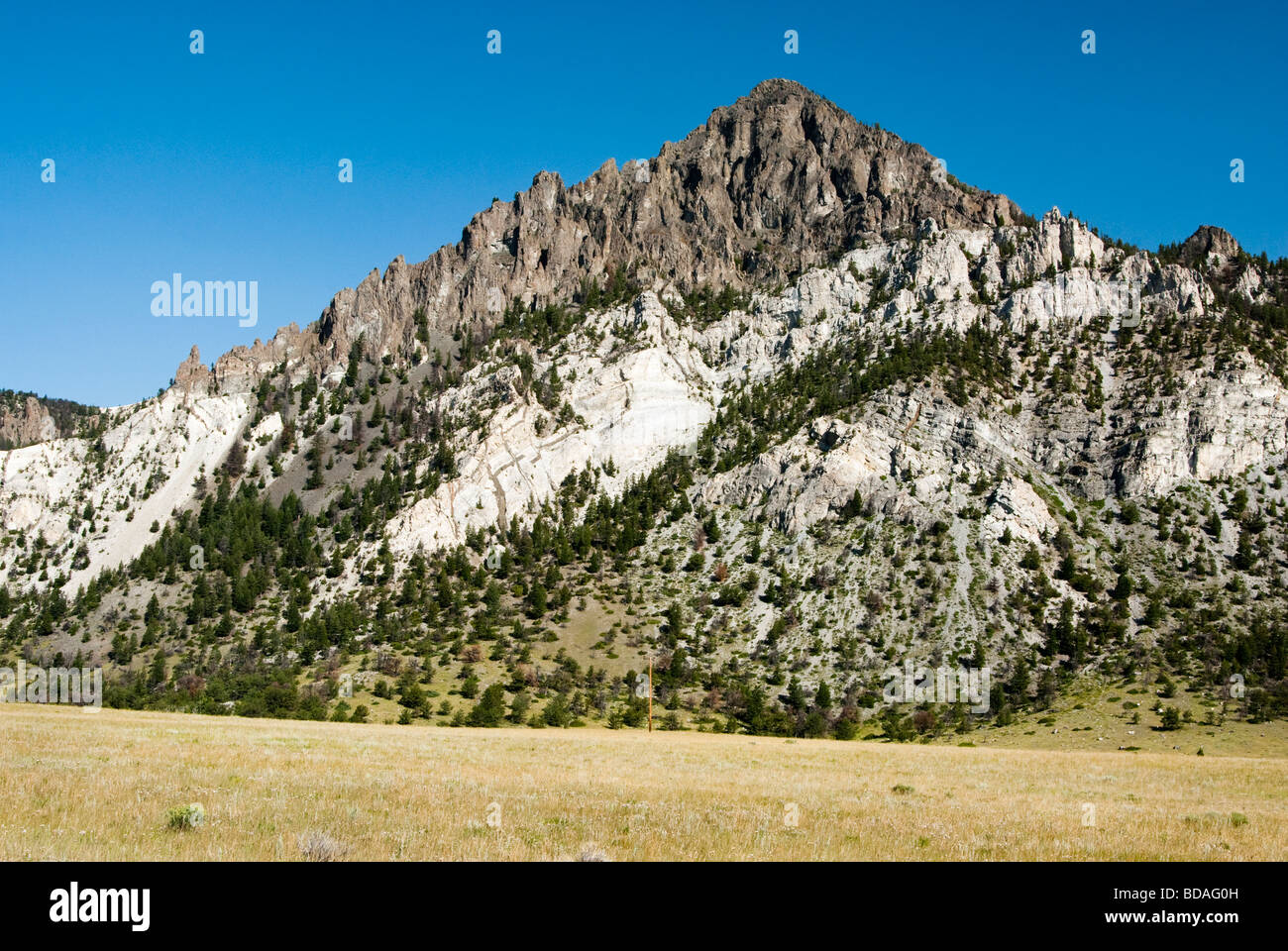 Vue de la Montagne Blanche dans le bassin de la lumière du soleil dans le Wyoming Banque D'Images