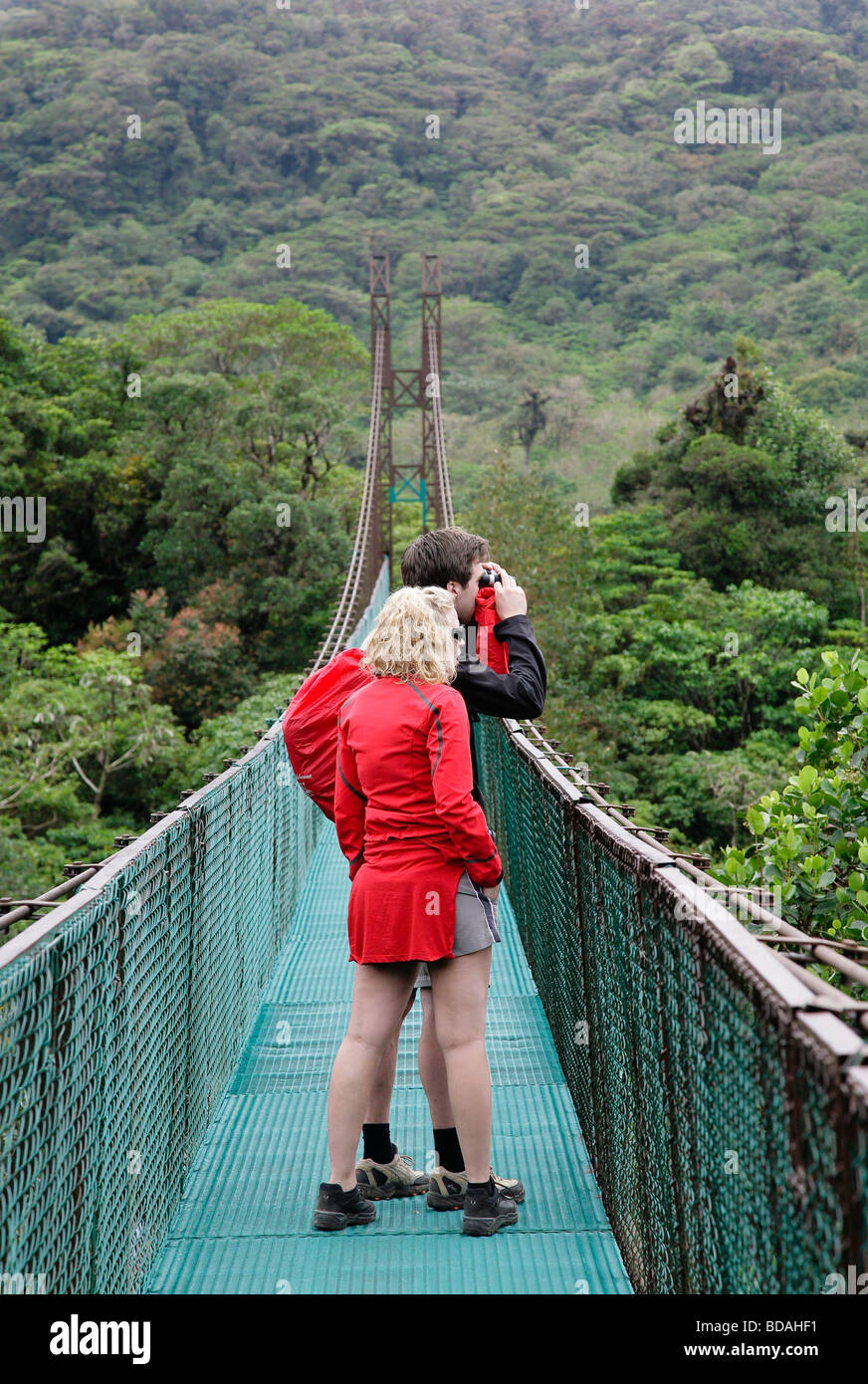 Costa rica monteverde cloud forest national park les randonneurs le long de la forêt tropicale des sky walk l'Amérique latine Banque D'Images