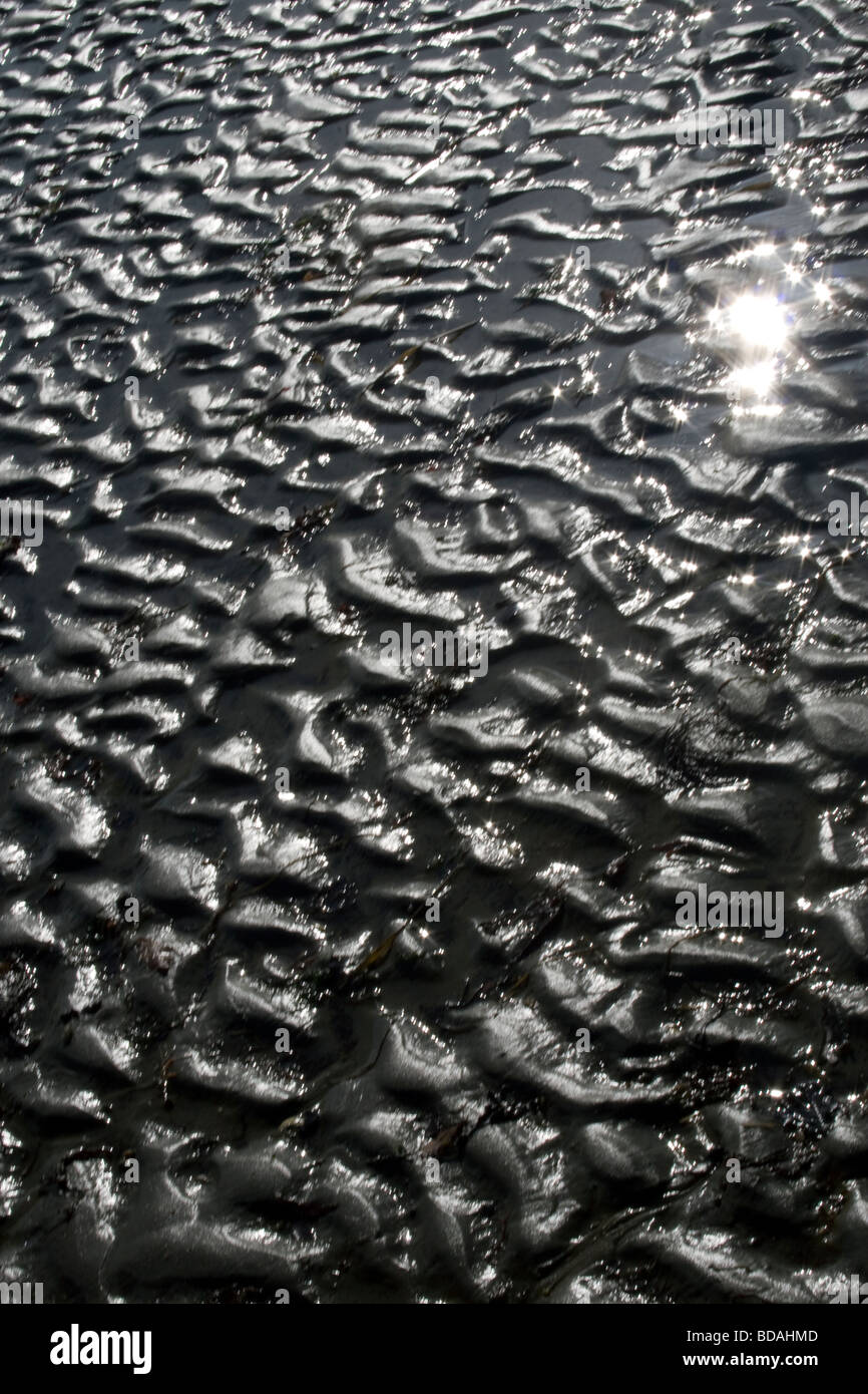 La mer à West Wittering beach. Banque D'Images