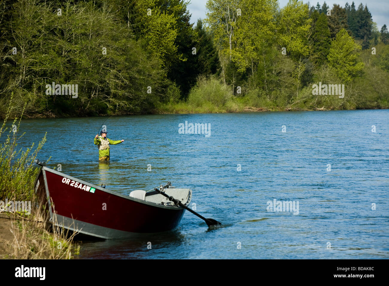 Man wading in River et flyfishing Santiam, Orgeon Banque D'Images