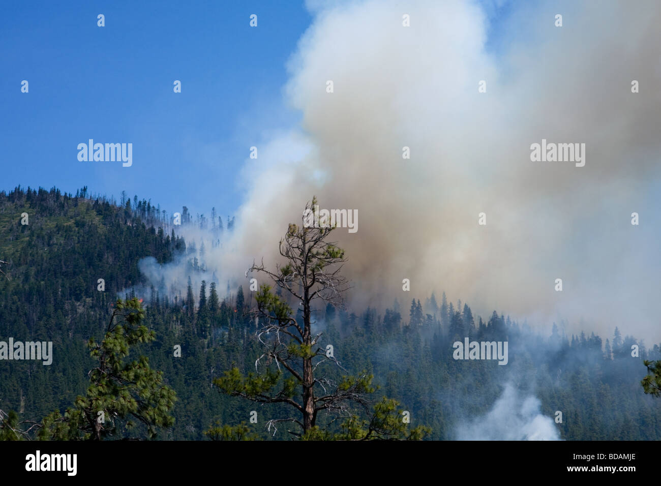 Un incendie de forêt à un stade précoce par la foudre près de la Forêt Nationale de Deschutes Soeurs Oregon Banque D'Images