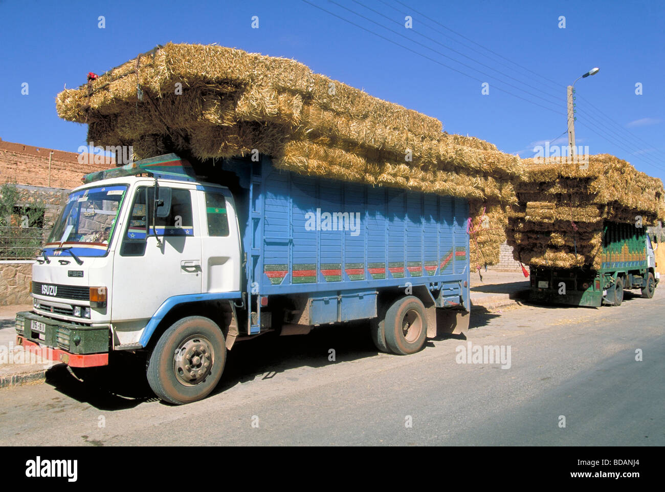 4563 Elk161 Maroc Tinerhir camions chargés de bottes de foin Banque D'Images