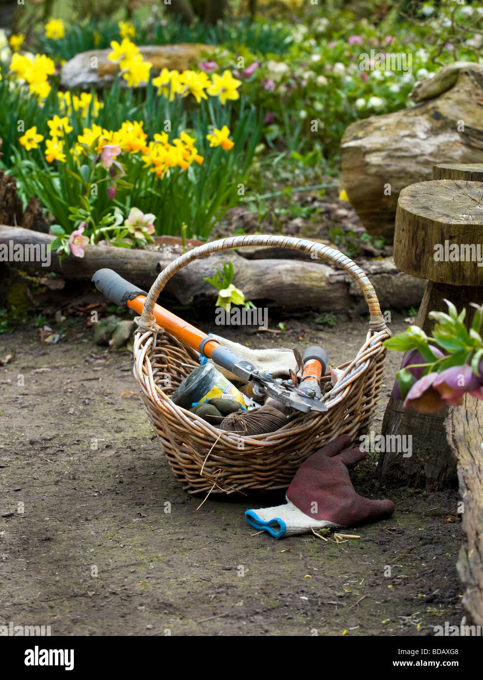 Outils de jardinage, les gants et le panier dans le jardin de printemps Banque D'Images