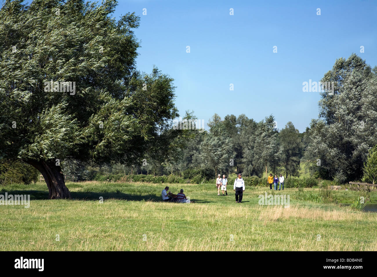 Les marcheurs le long de la rivière Stour entre le village historique de Dedham et dans le pays de Constable Flatford Banque D'Images