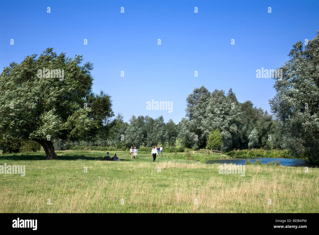 Les marcheurs le long de la rivière Stour entre le village historique de Dedham et dans le pays de Constable Flatford Banque D'Images