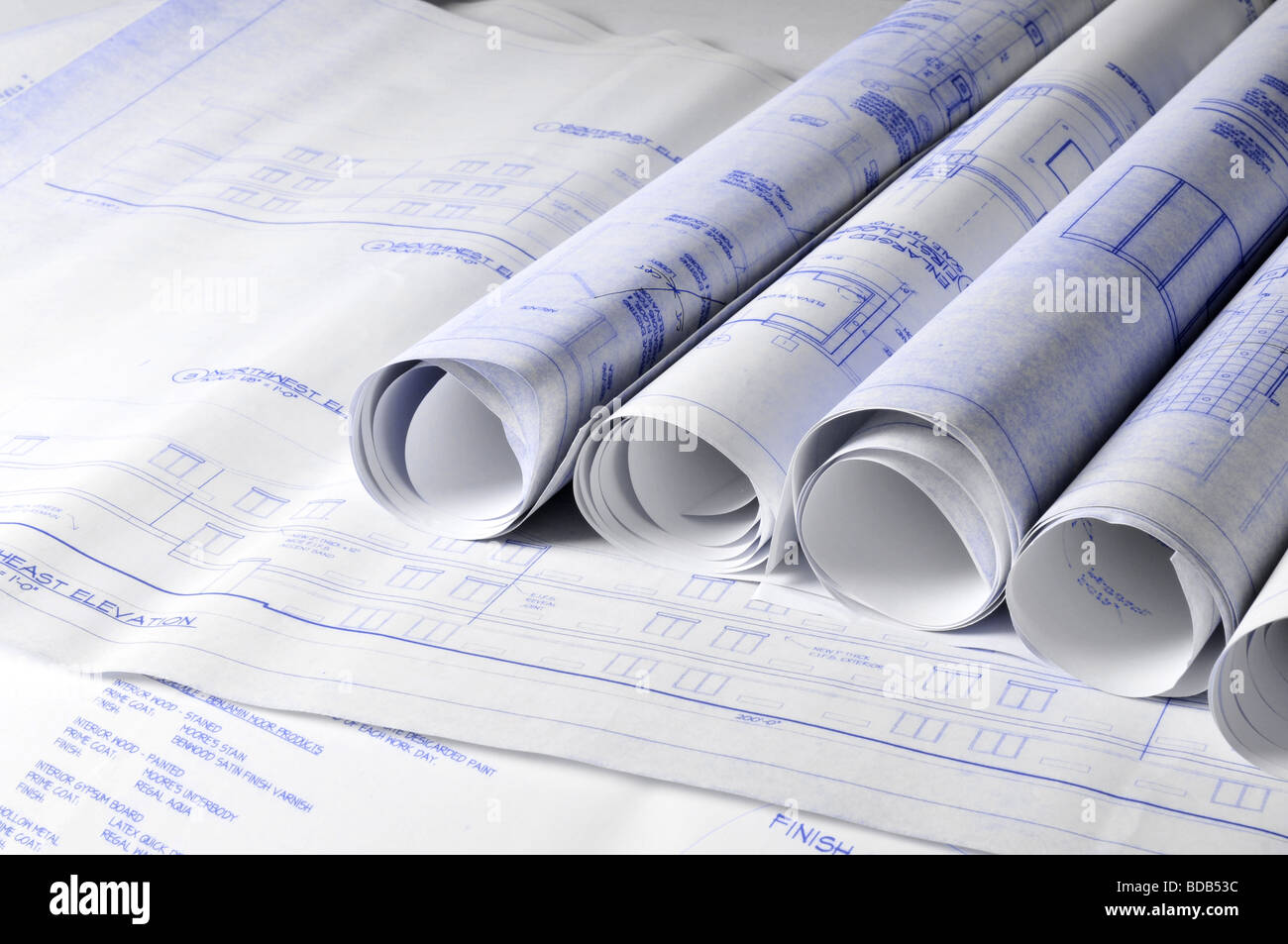 Rouleaux de plans architecturaux sur une table à dessin Banque D'Images