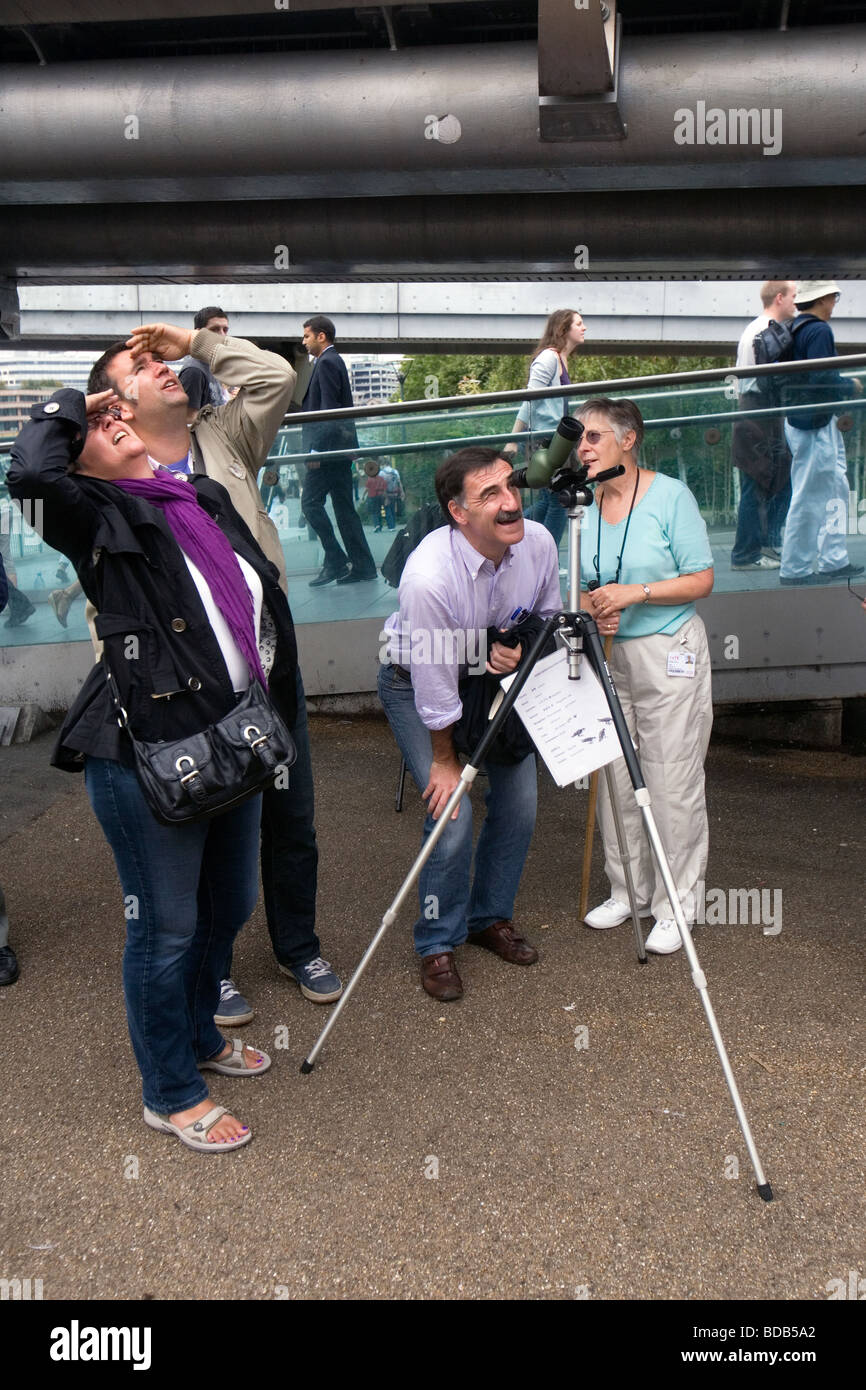 Groupe de personnes regardant pour un faucon pèlerin sur neting haut de la Tate Modern Art Gallery de Londres Banque D'Images