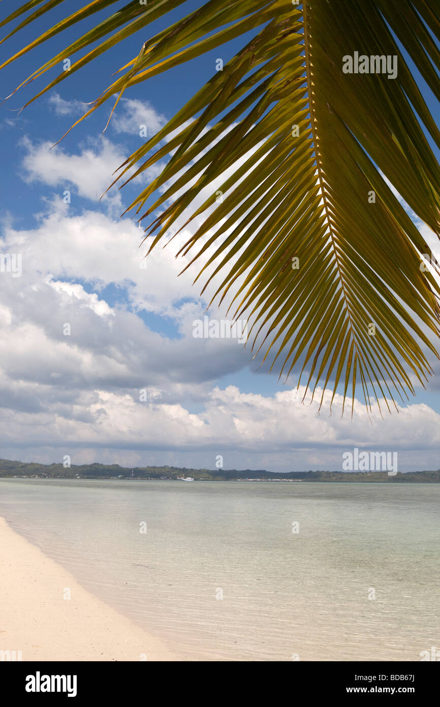 Sulawesi Indonésie Parc National de Wakatobi Hoga Island palm arbre de plus idyllique plage de sable blanc Banque D'Images