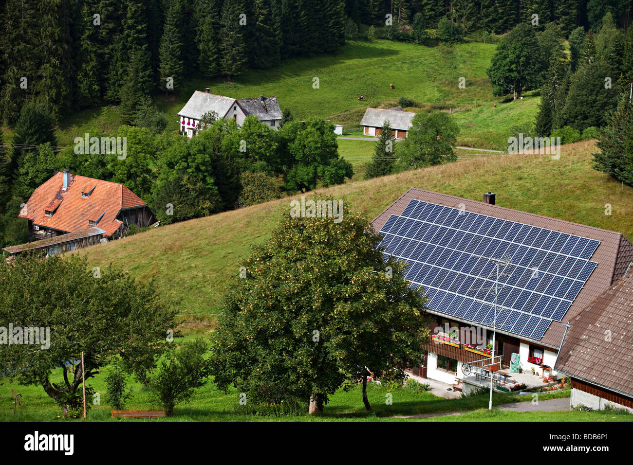 Un eco house alimenté par des panneaux solaires en Schwarzwald, Allemagne, Europe. Banque D'Images