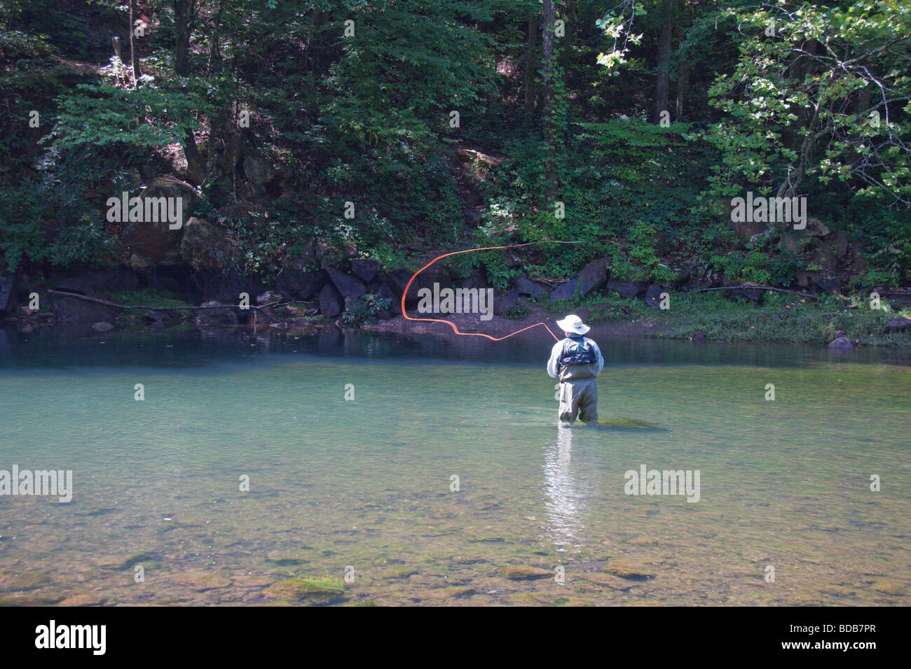 La pêche à la mouche dans la rivière Smith, Virginia, USA Banque D'Images