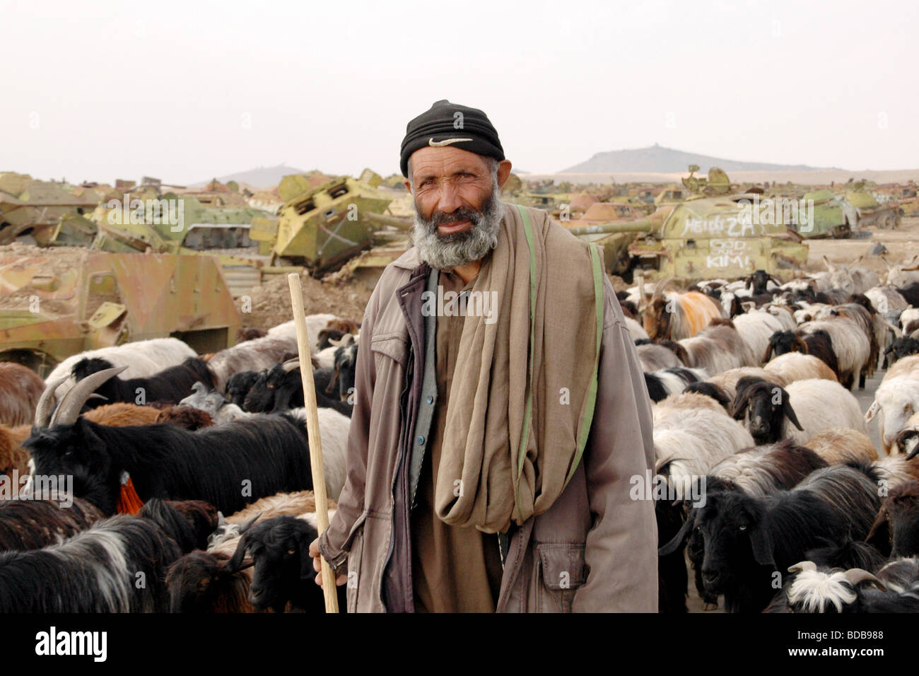 Portrait d'un berger afghan qui mène un troupeau de moutons à travers un ancien cimetière de chars soviétiques dans la banlieue de Kaboul, en Afghanistan. Banque D'Images