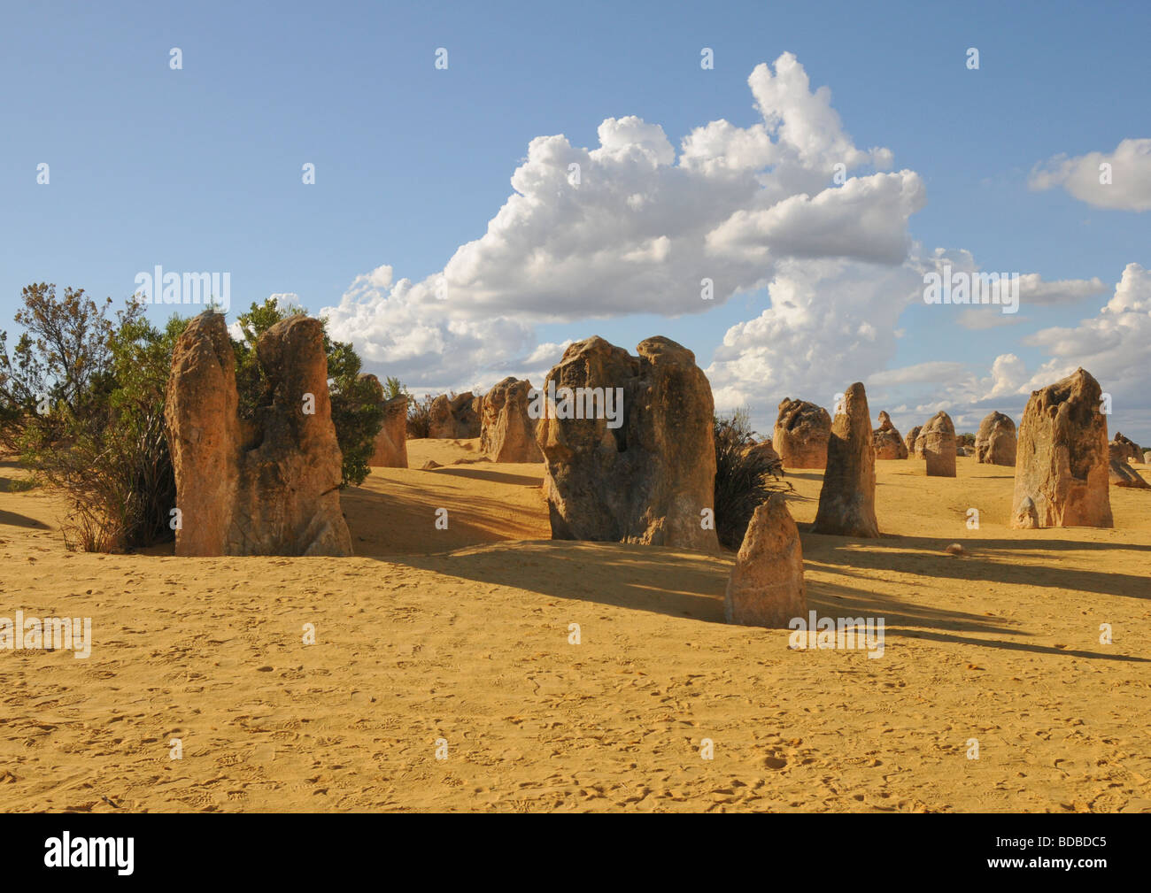 Vue panoramique de certains des plus célèbres structures rocheuses des pinacles dans l'ouest de l'Australie avec le sable, le ciel, et cloudscape. Banque D'Images