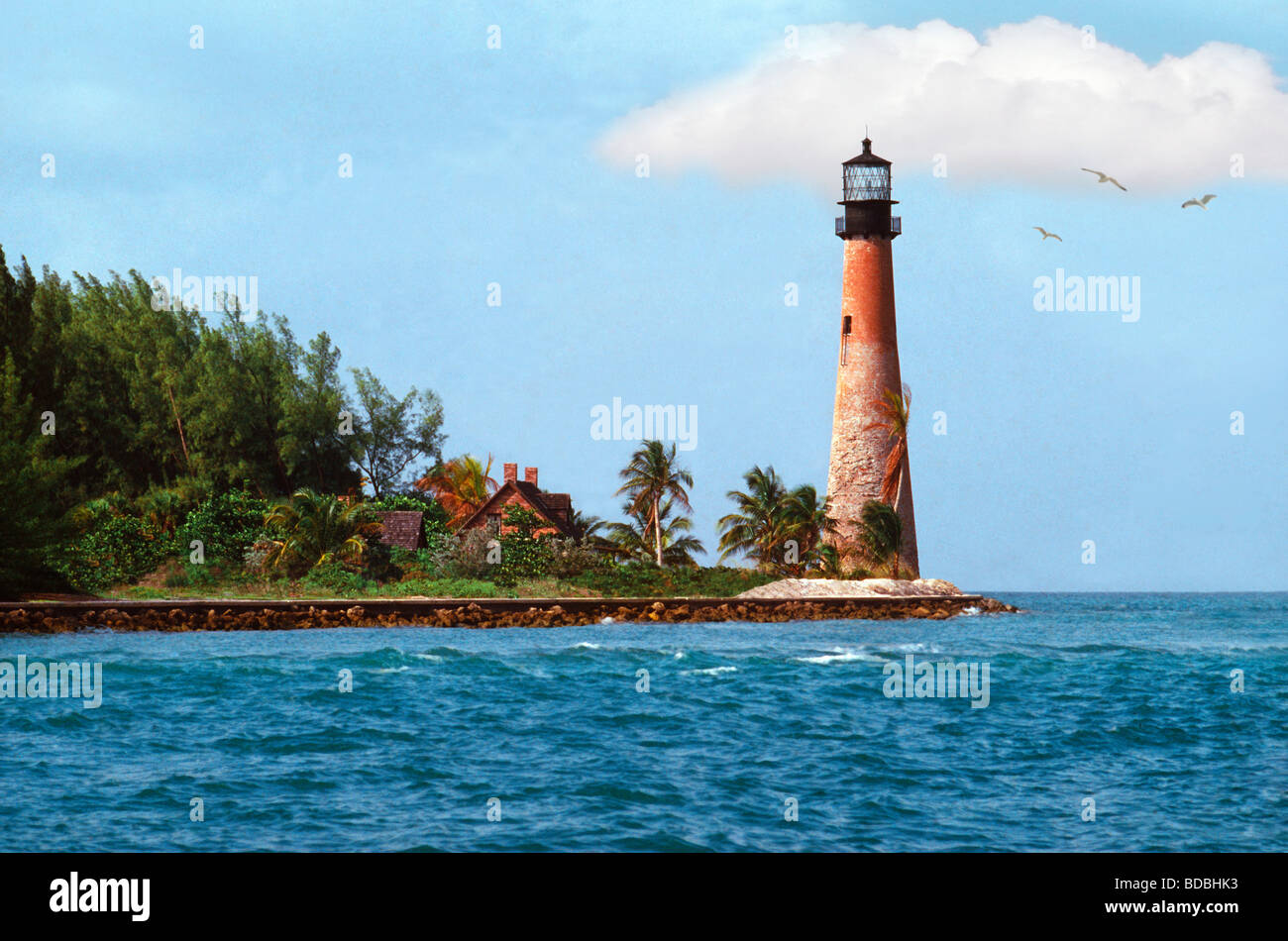 Ancien phare à Crandon Park/Key Biscayne point dans le sud de la Floride avec vent palmiers et feuillage vert. Banque D'Images Ancien phare à Crandon Park/Key Biscayne point dans le sud de la Floride avec vent palmiers et feuillage vert. Banque D'Images