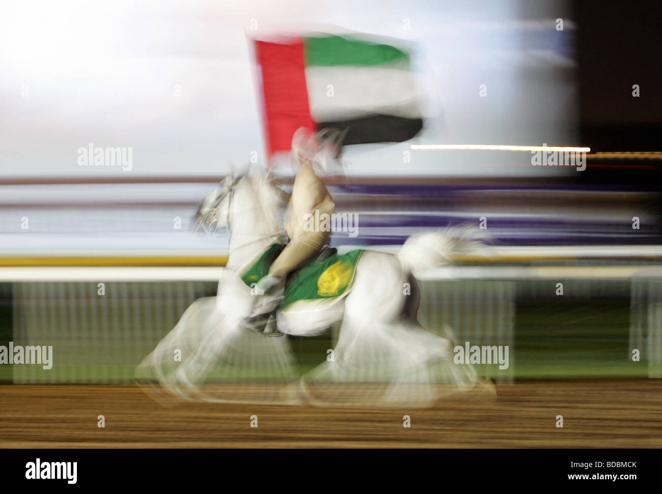Cavalier galopant avec drapeau national, Dubai, Émirats Arabes Unis Banque D'Images