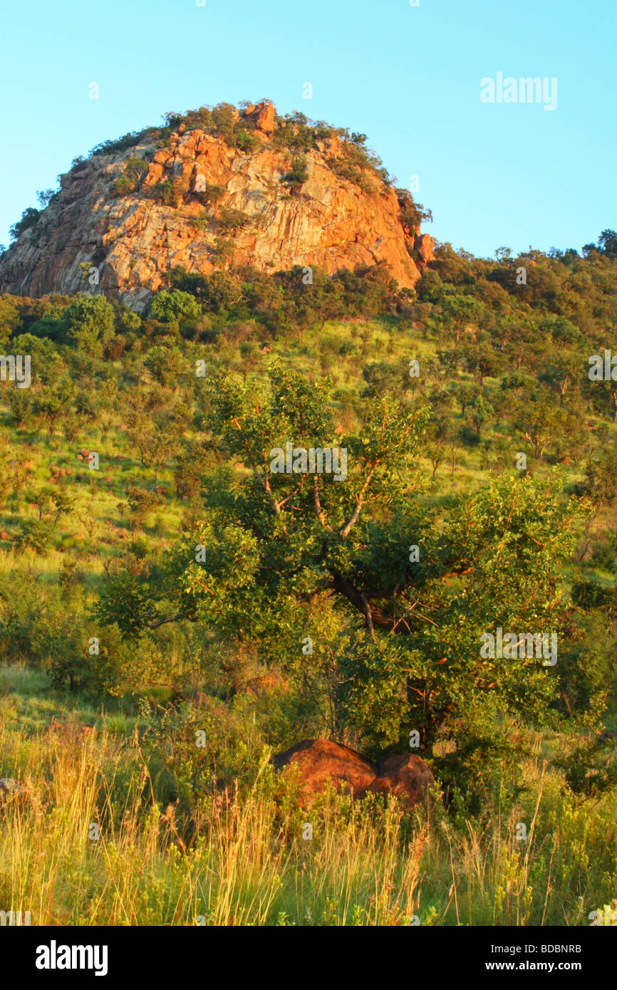 Soleil matinal sur un éperon rocheux dans la réserve de chasse Pilanesberg, Province du Nord-Ouest, Afrique du Sud Banque D'Images