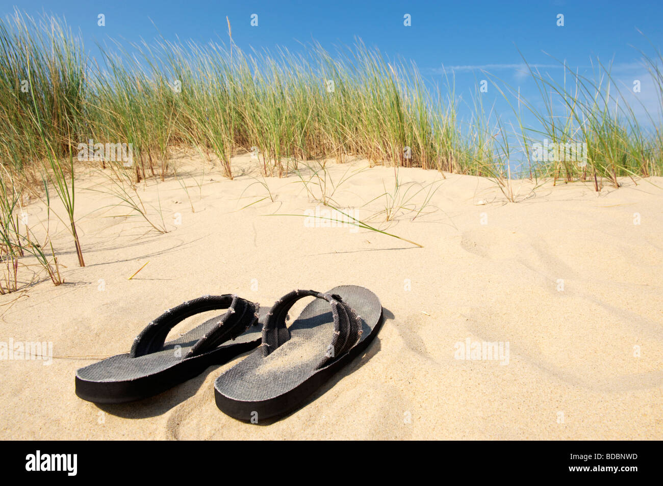 Paire de sandales sur un jour d'été ensoleillé sur la plage, au milieu des dunes à Norfolk Banque D'Images