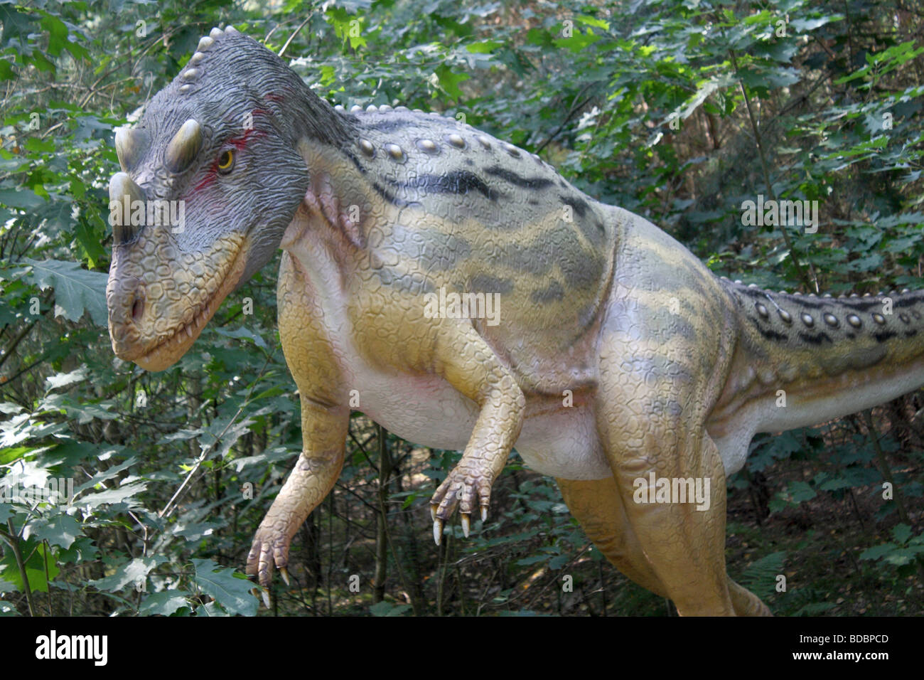 Ceratosauria, parc préhistorique, modèle taille naturelle. 2009 Banque D'Images