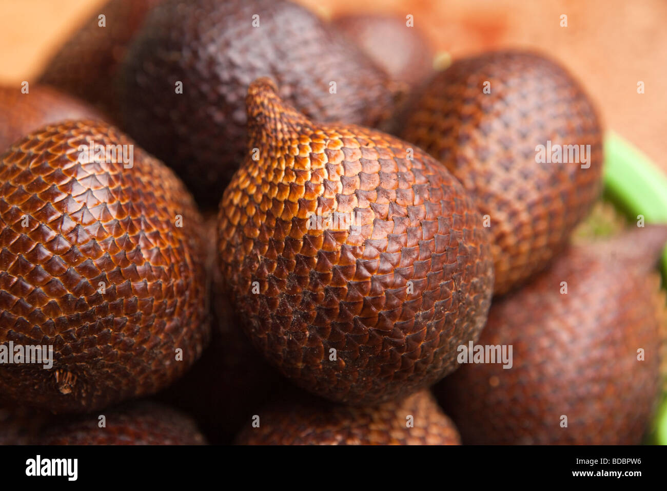 Tana Toraja de Sulawesi Indonésie Makale salat cultivés localement avec des fruits comme la peau de serpent à vendre Banque D'Images