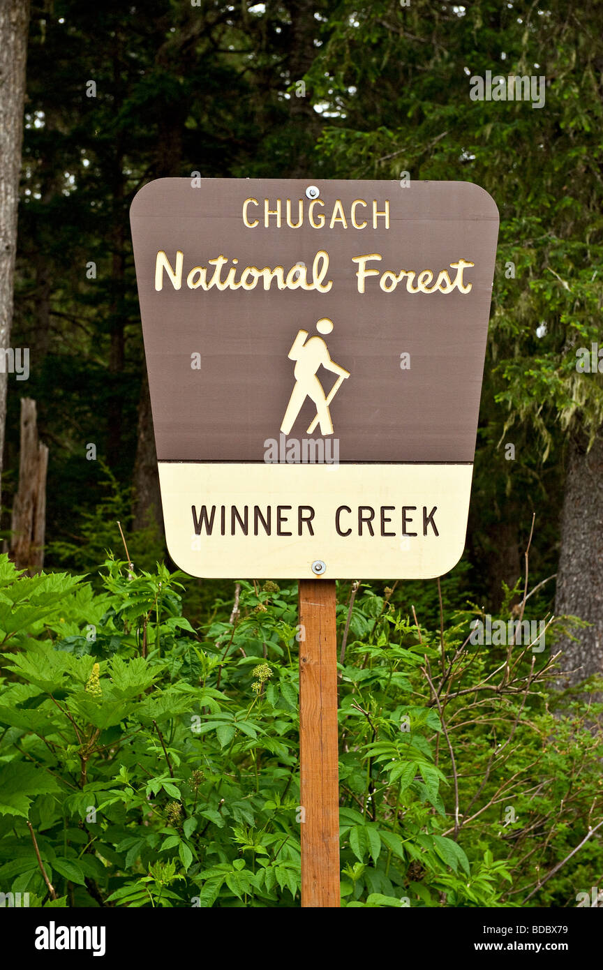 Sentier de randonnée de gagnant, la Forêt Nationale de Chugach,, Alaska, USA Banque D'Images