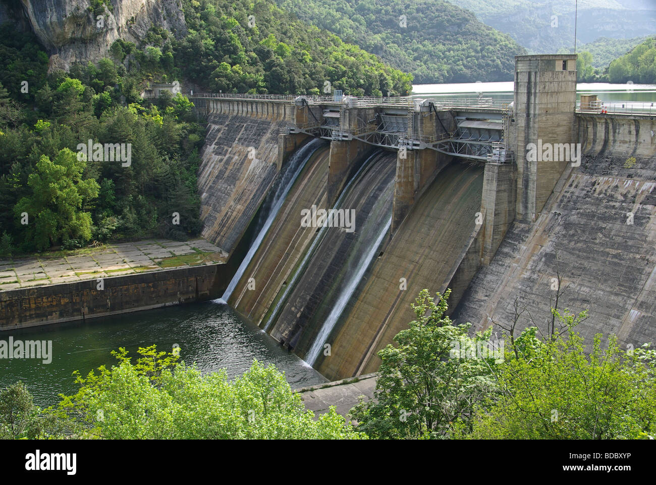 Èbre Embalse de Lezama 03 Banque D'Images