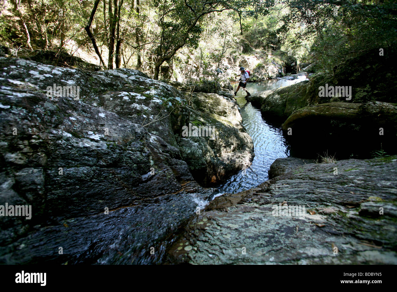 Bush-balade en Australie Banque D'Images Bush-balade en Australie Banque D'Images