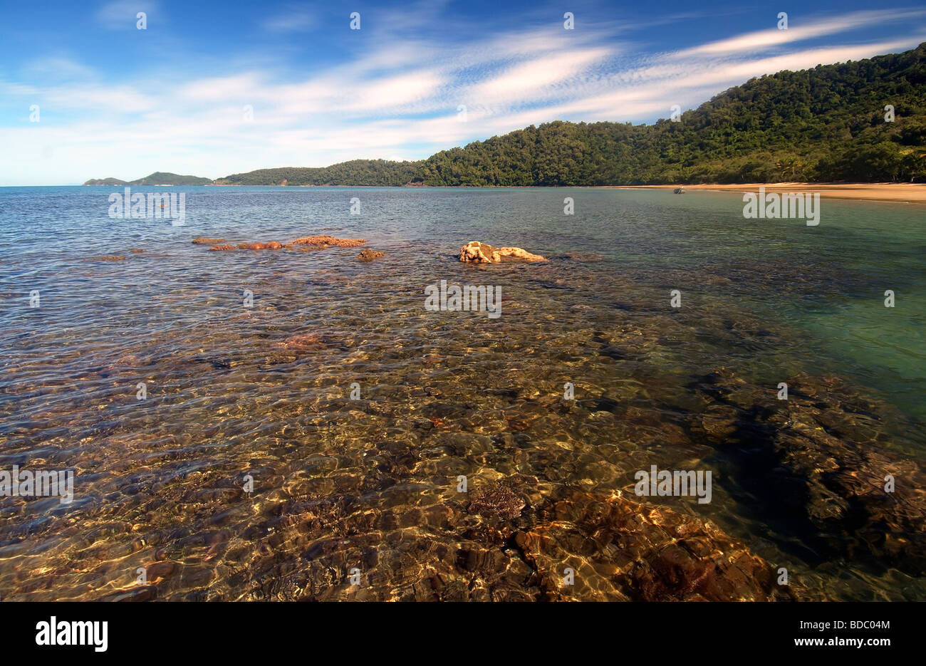 Plages de corail et la forêt tropicale du Parc national de Daintree Great Barrier Reef Marine Park Queensland Australie Banque D'Images