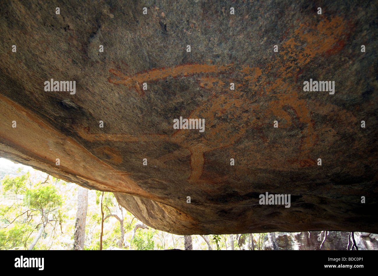 Australian Aboriginal Rock Art - femelle enceinte figure sur le plafond de la grotte. Près de Hope Vale, Queensland Banque D'Images