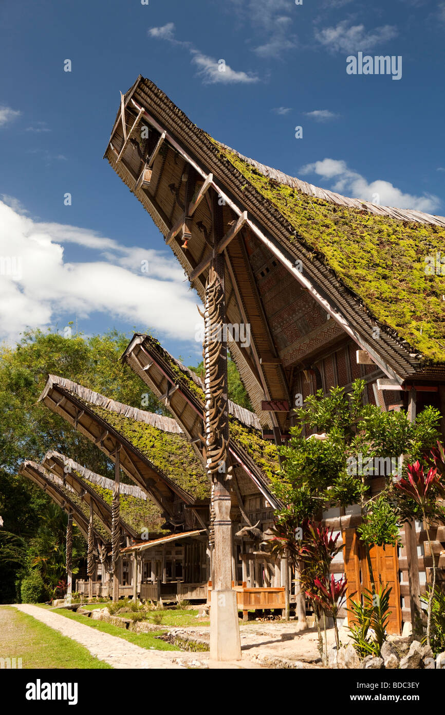 L'Indonésie, Sulawesi, Tana Toraja, village traditionnel de Kete Kesu, état haut tongkonan maisons avec beaucoup de cornes de buffle à l'extérieur Banque D'Images
